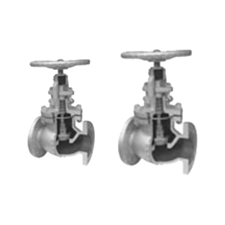 Globe Valves