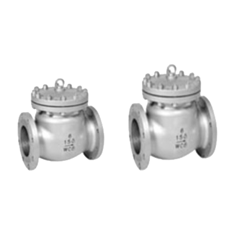 Check Valves
